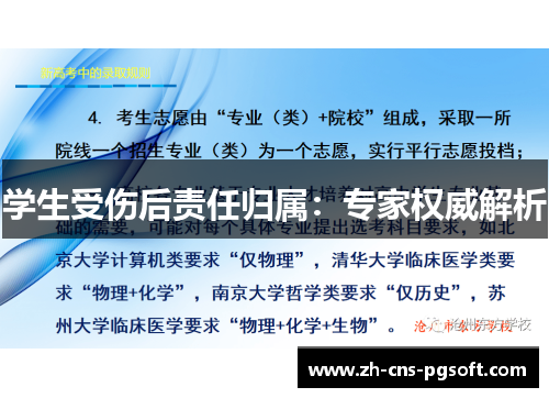 学生受伤后责任归属：专家权威解析