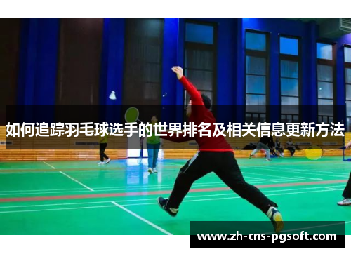 如何追踪羽毛球选手的世界排名及相关信息更新方法