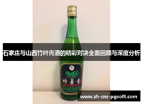 石家庄与山西竹叶青酒的精彩对决全面回顾与深度分析