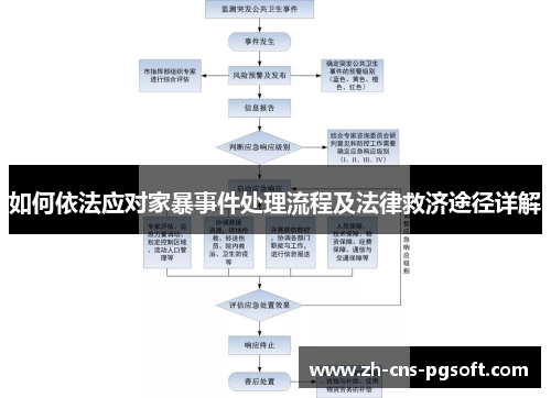 如何依法应对家暴事件处理流程及法律救济途径详解