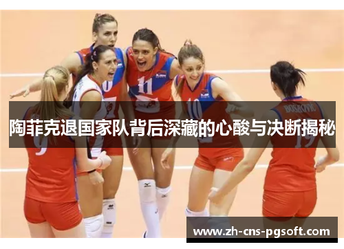 陶菲克退国家队背后深藏的心酸与决断揭秘