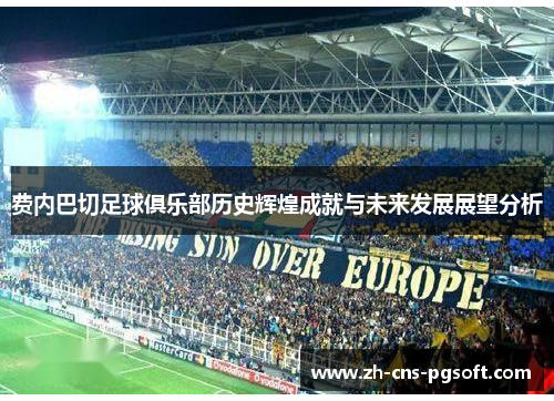 费内巴切足球俱乐部历史辉煌成就与未来发展展望分析