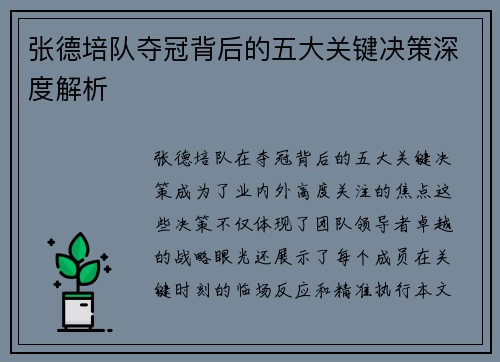 张德培队夺冠背后的五大关键决策深度解析